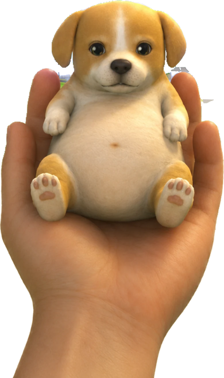 Belly Dog carried in an open palm
